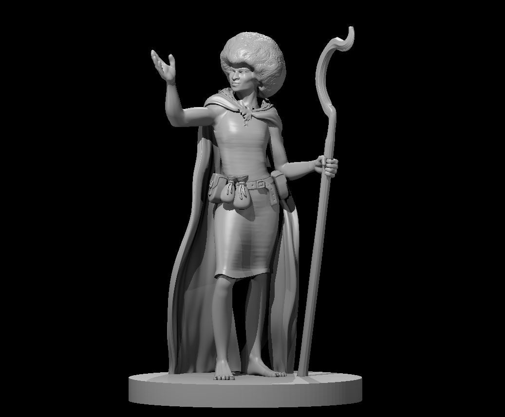 Dungeons & Dragons Human Female Druid with Afro Miniature