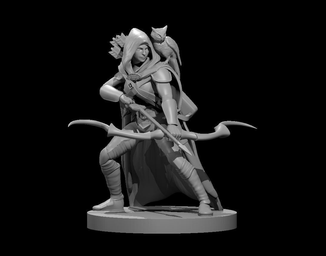 Dungeons & Dragons Human Female Ranger with Owl Miniature