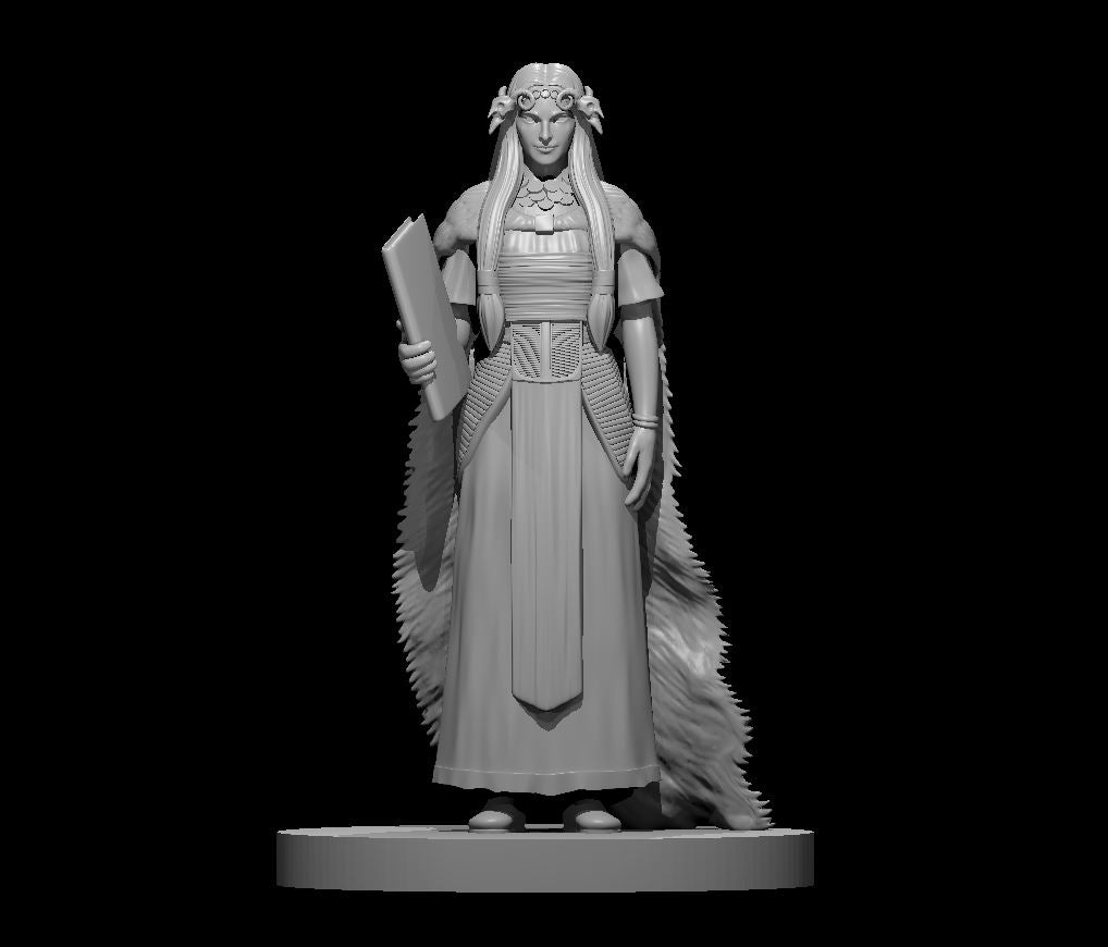 Dungeons & Dragons Human Female Sage Miniature