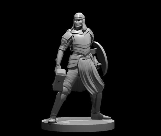 Dungeons & Dragons Human Male Cleric Desert Miniature