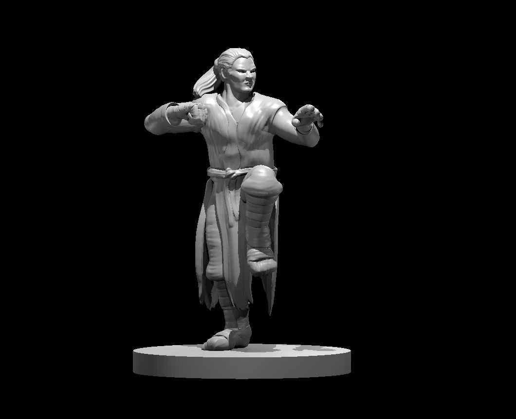 Dungeons & Dragons Human Male Monk Miniature – Borishotch Industries