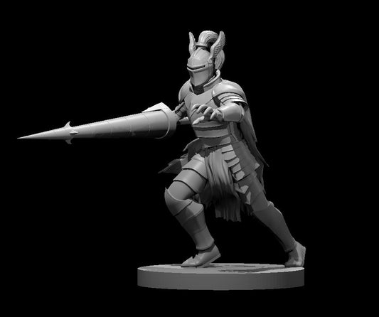 Dungeons & Dragons Human Male Paladin with Lance Miniature