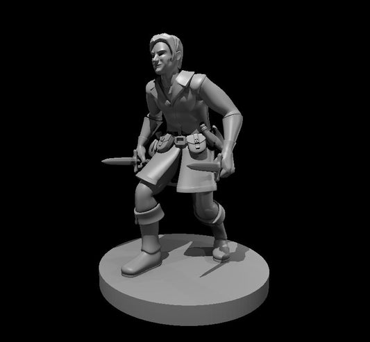 Dungeons & Dragons Human Male Rogue Miniature