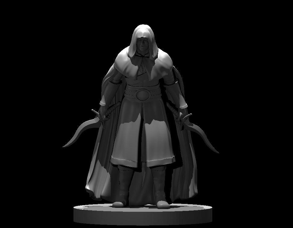 Dungeons & Dragons Human Male Rogue Miniature