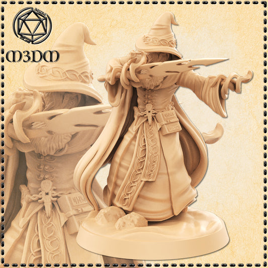 Dungeons & Dragons Human Wizard Miniature