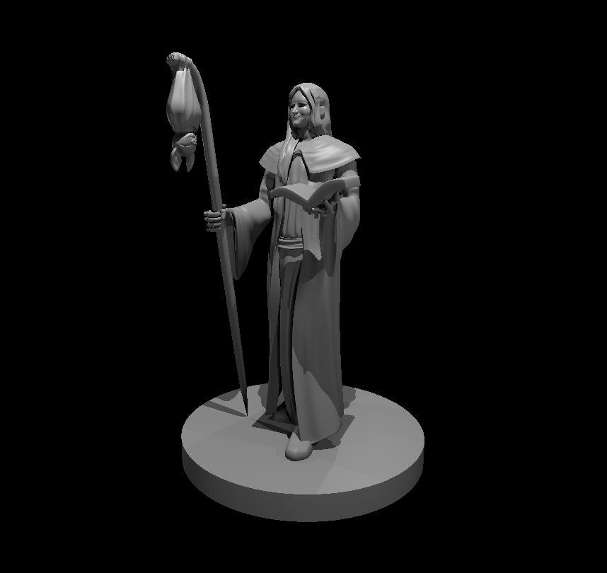 Dungeons & Dragons Human Wizard with Bat Familiar Miniature