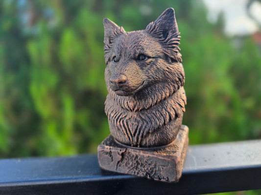 Icelandic Sheepdog Bust