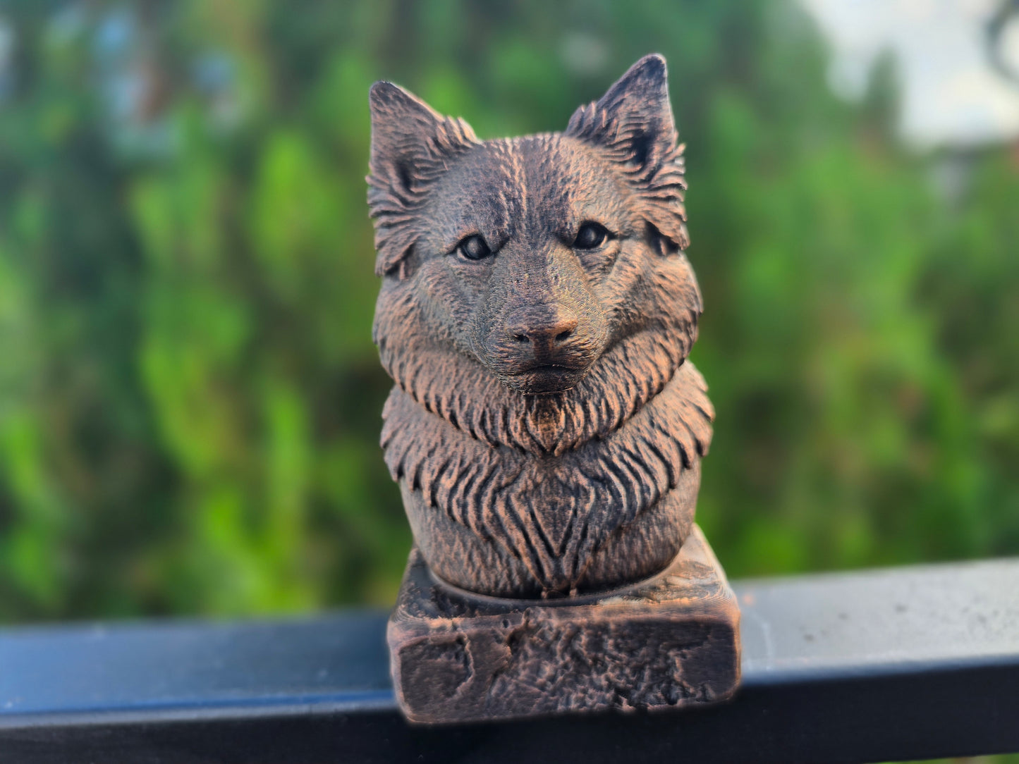 Icelandic Sheepdog Bust
