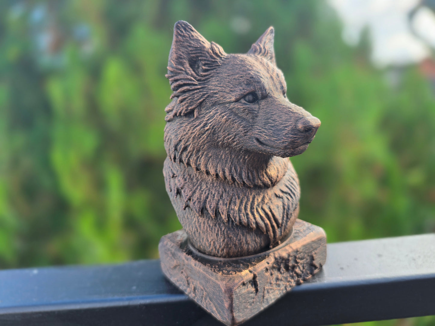 Icelandic Sheepdog Bust