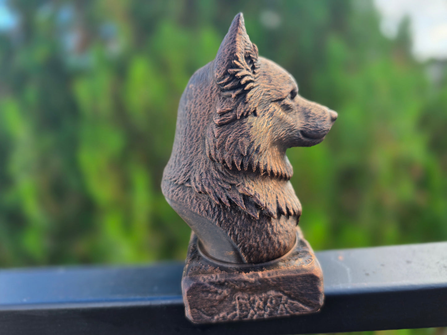 Icelandic Sheepdog Bust