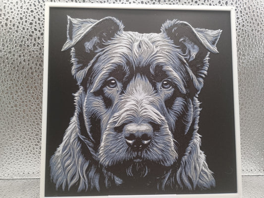 Bouvier des Flandres hueforge