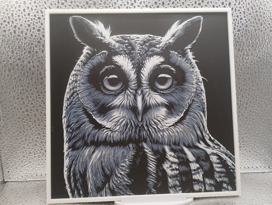 Long-eared Owl hueforge