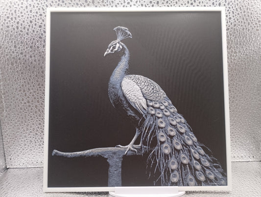 Peacock hueforge