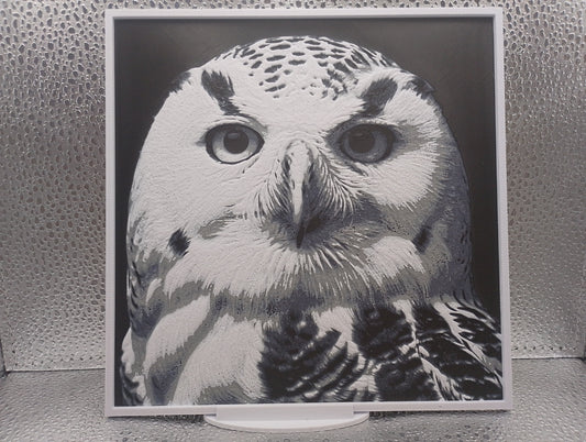 Snowy Owl hueforge