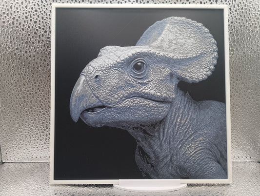 Protoceratops hueforge