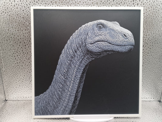 Diplodocus hueforge