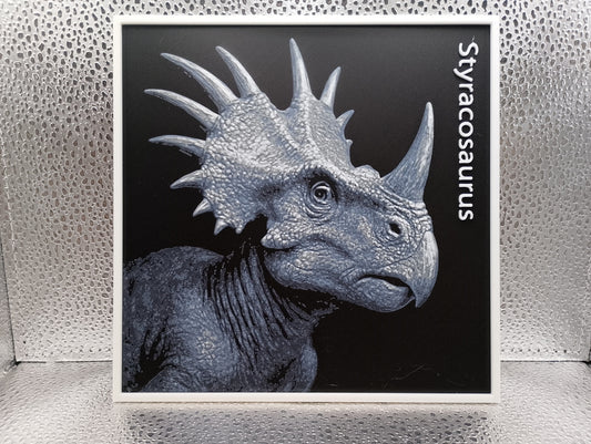 Styracosaurus hueforge