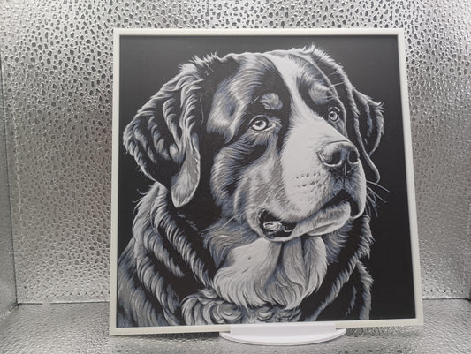 Bernese Mountain Dog – Hueforge 3D-Printed Artwork