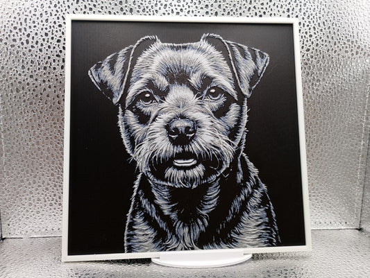 Border Terrier hueforge