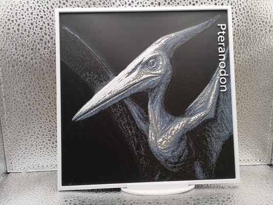 Pteranodon – Hueforge 3D-Printed Artwork