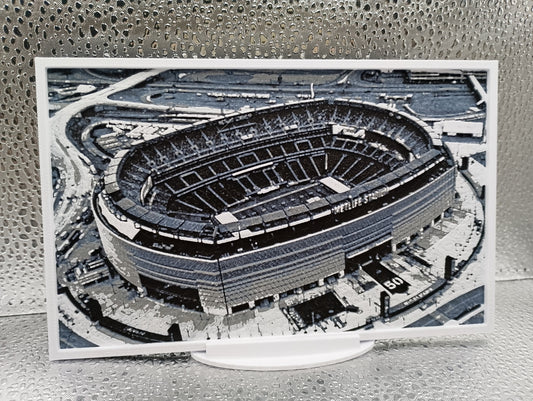 New York Giants – MetLife Stadium Hueforge