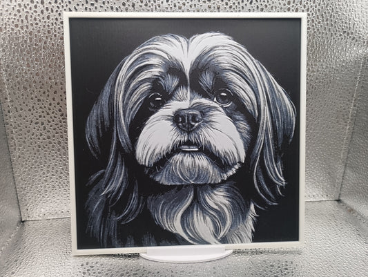Lhasa Apso – Hueforge