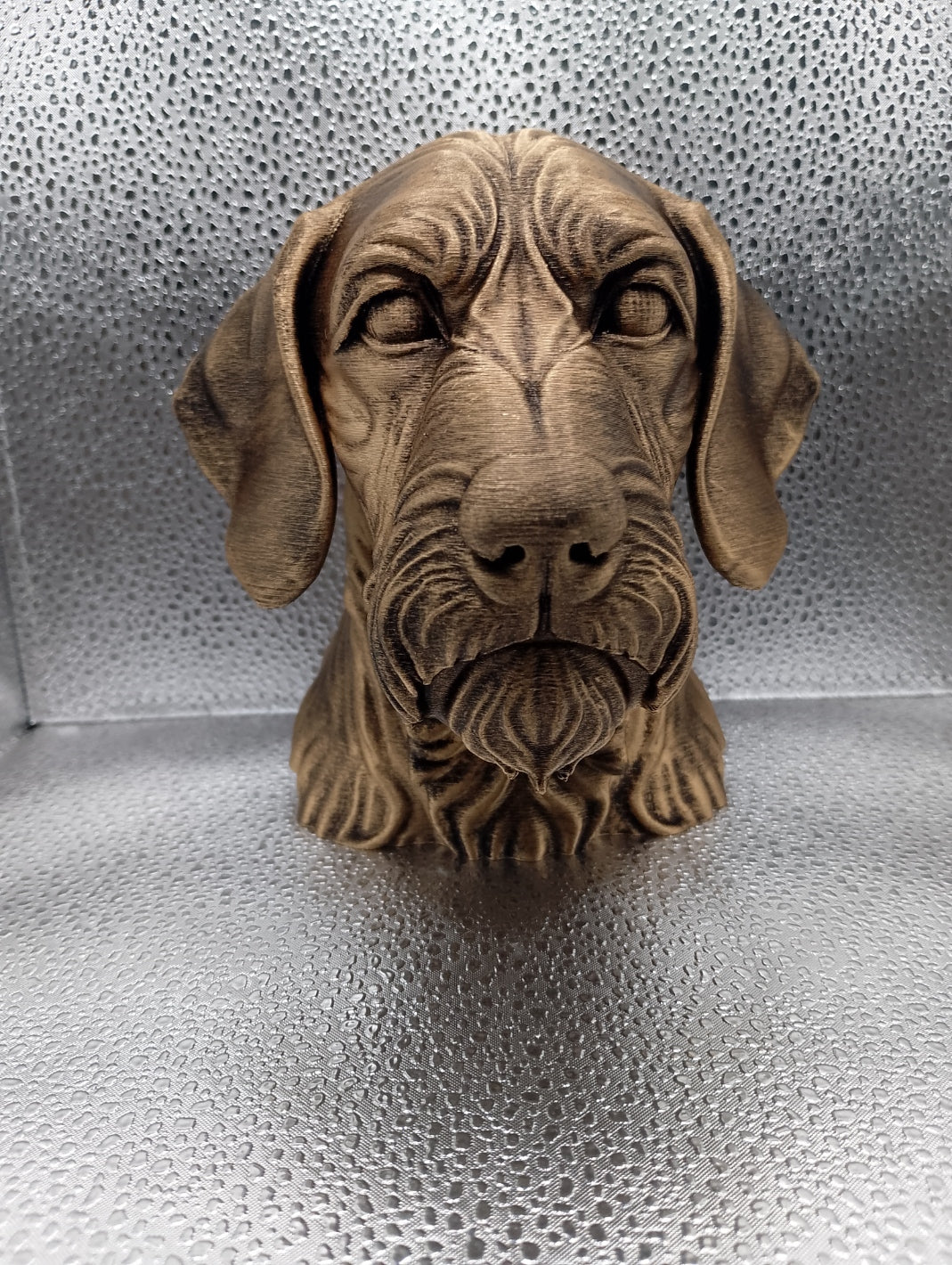 Wire Haired Vizsla Bust