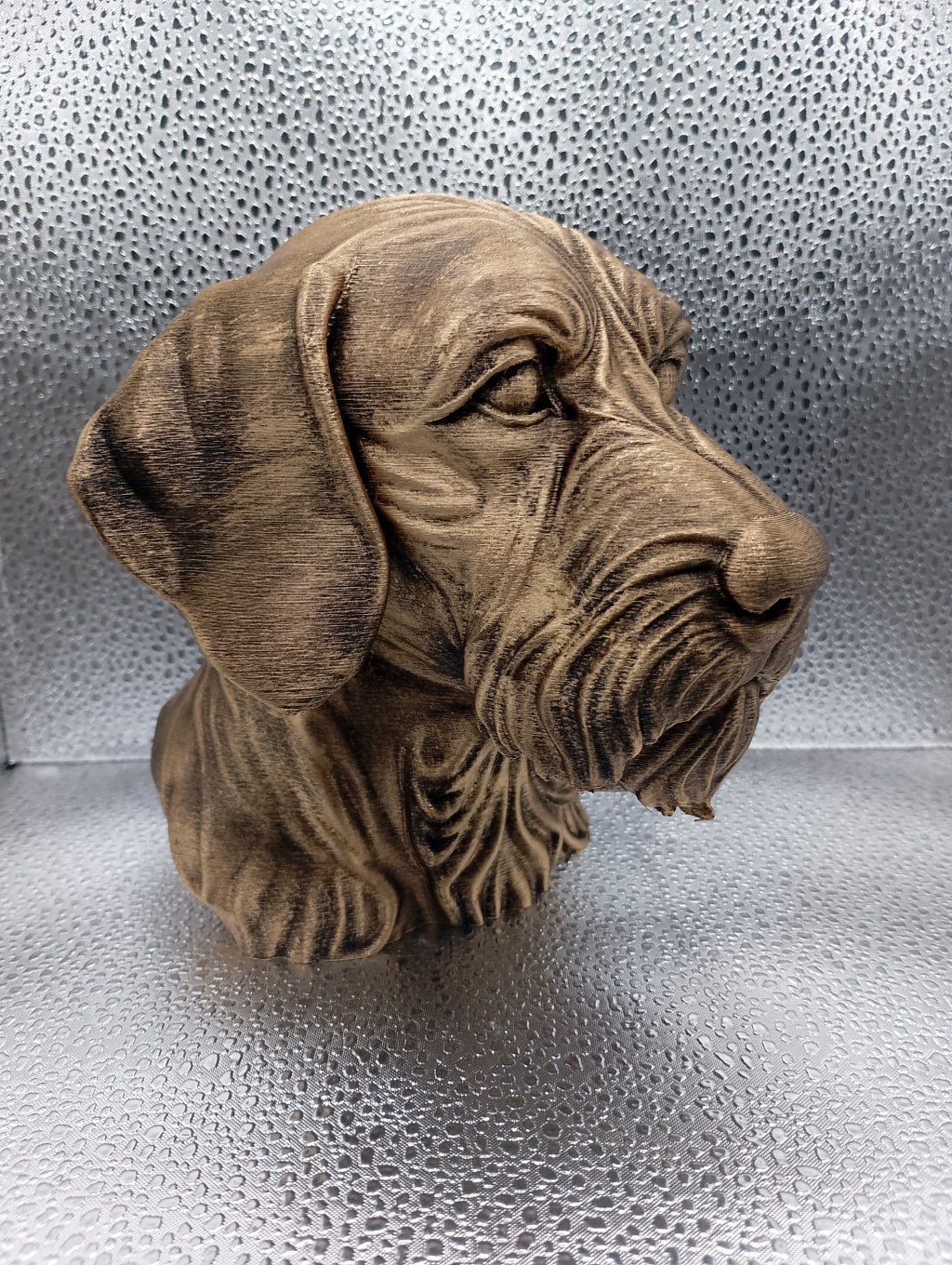 Wire Haired Vizsla Bust
