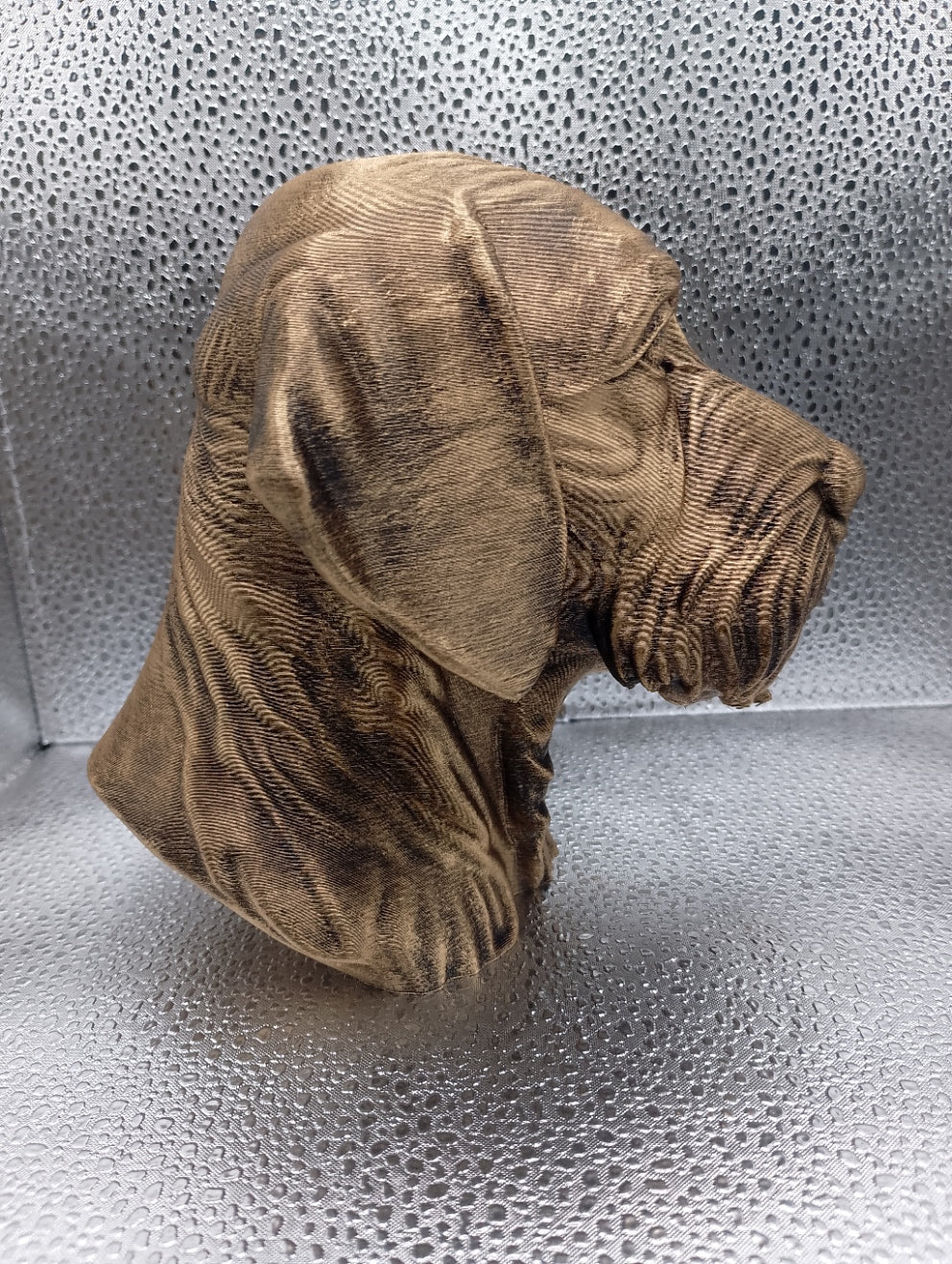 Wire Haired Vizsla Bust