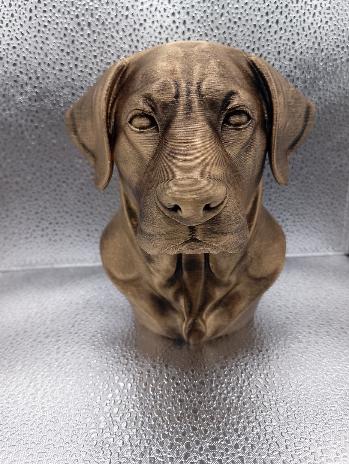 Labrador Retriever Bust