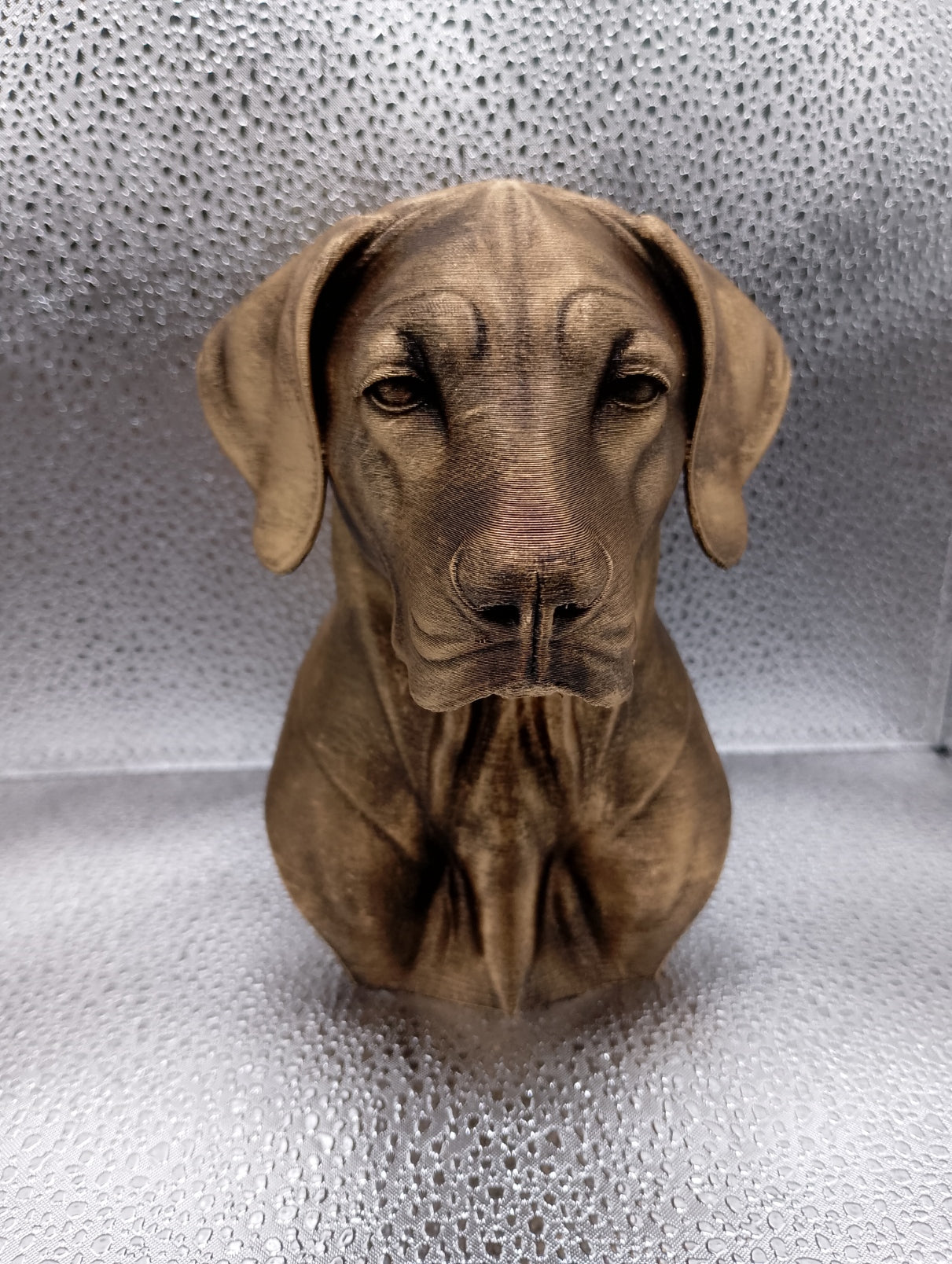 Rhodesian Ridgeback Bust