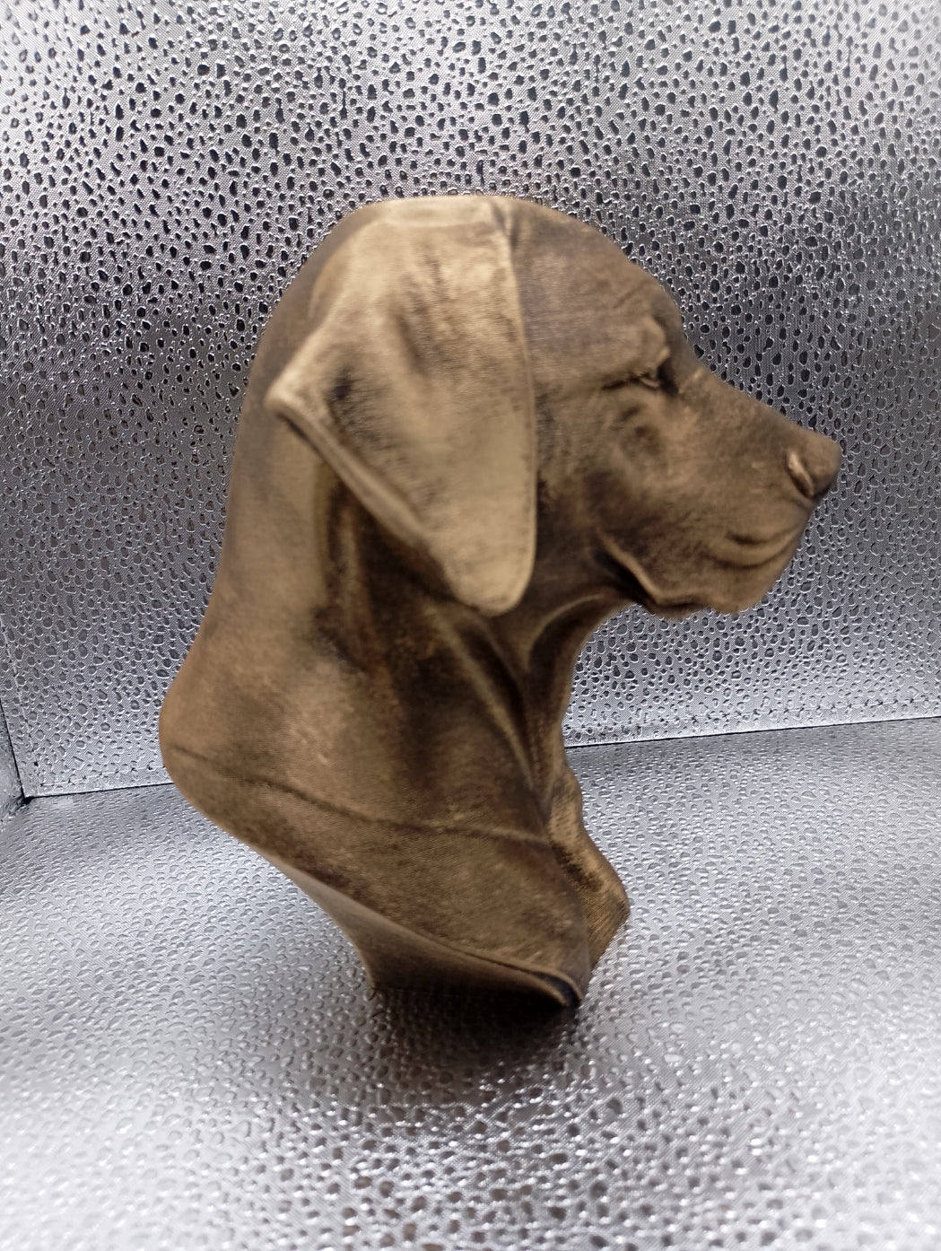 Rhodesian Ridgeback Bust