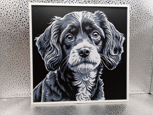 Cavapoo – Hueforge