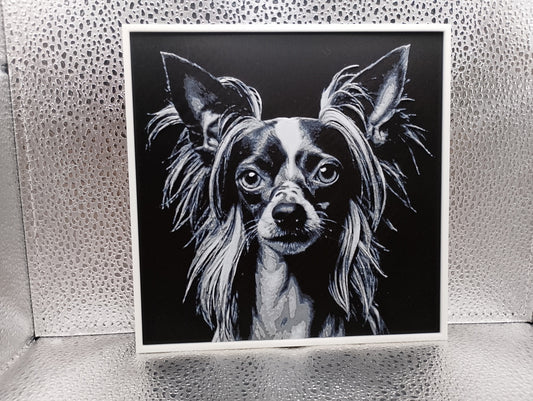 Chinese Crested – Hueforge
