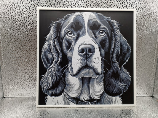 Springer Spaniel – Hueforge
