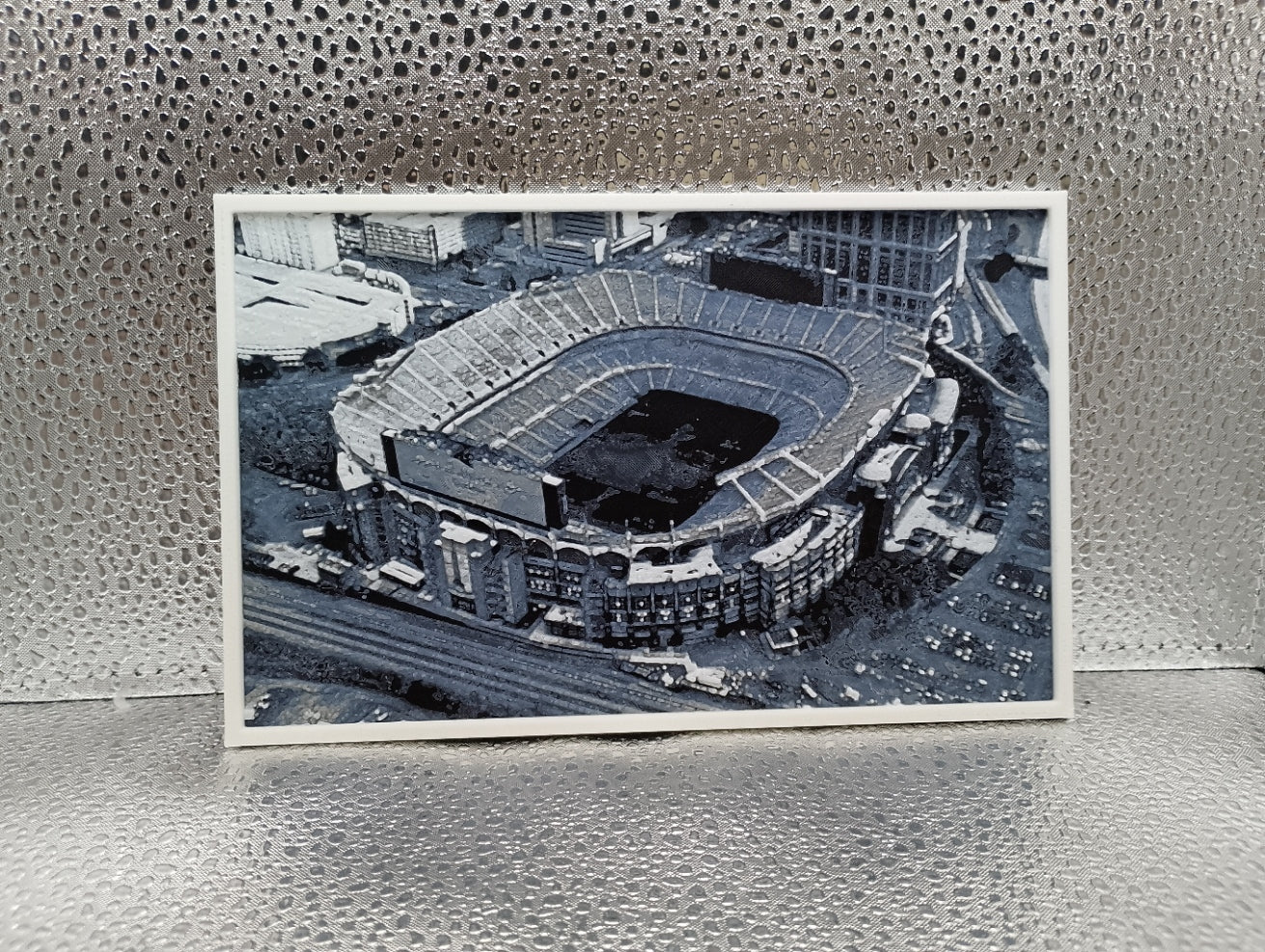 Carolina Panthers – Bank of America Stadium Hueforge