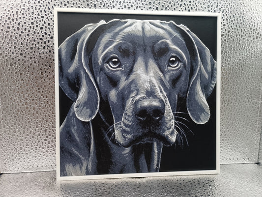 Weimaraner – Hueforge