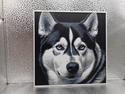 Siberian Husky – Hueforge