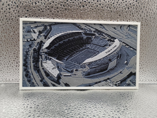 Jacksonville Jaguars – EverBank Stadium Hueforge