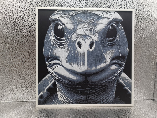 Turtle – Hueforge