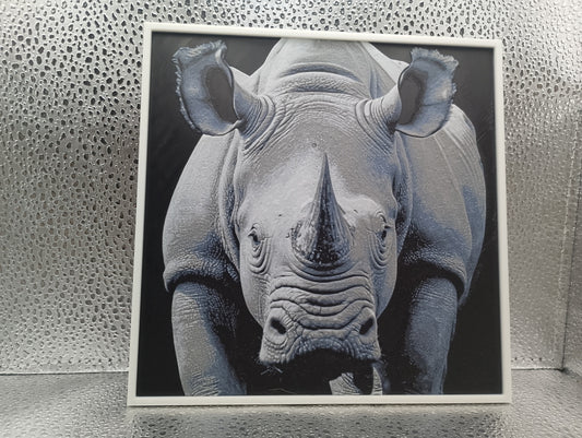 Rhinoceros – Hueforge