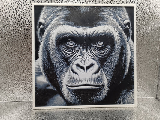 Gorilla – Hueforge