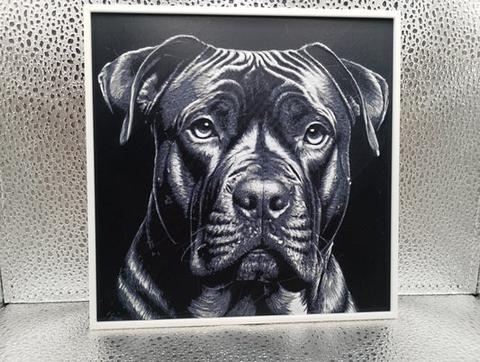 Presa Canario – Hueforge