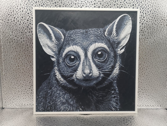 Bushbaby – Hueforge