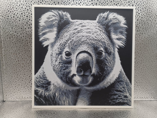Koala – Hueforge