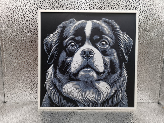 Tibetan Spaniel – Hueforge