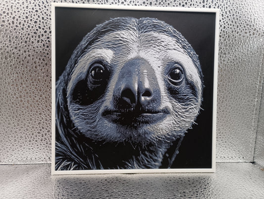 Sloth – Hueforge
