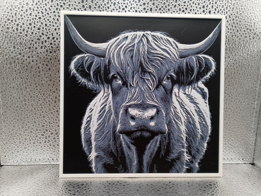 Highland Cow – Hueforge