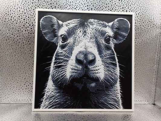 Capybara – Hueforge