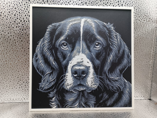 Sprocker Spaniel – Hueforge